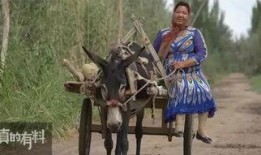 吃瓜最新事件爆料牛郎,牛郎事件再掀波澜，吃瓜群众热议不断